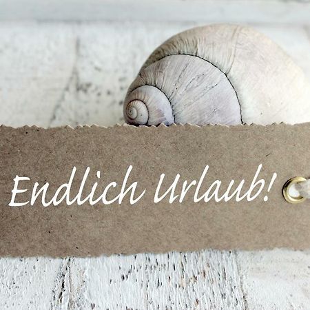Ferienwohnung Muschelsucher Boltenhagen  Eksteriør billede